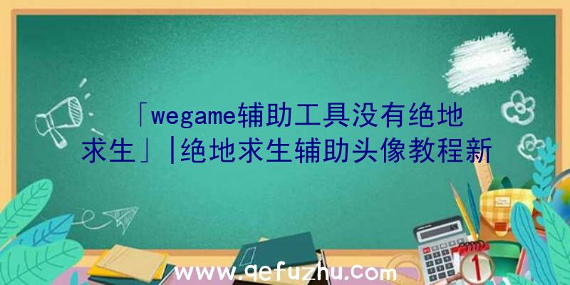 「wegame辅助工具没有绝地求生」|绝地求生辅助头像教程新手